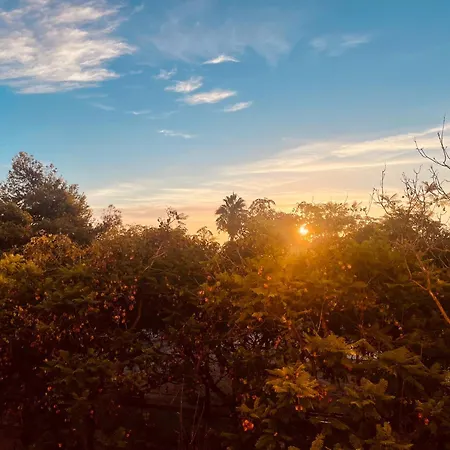 Apartment Acogedor Estudio La Marina