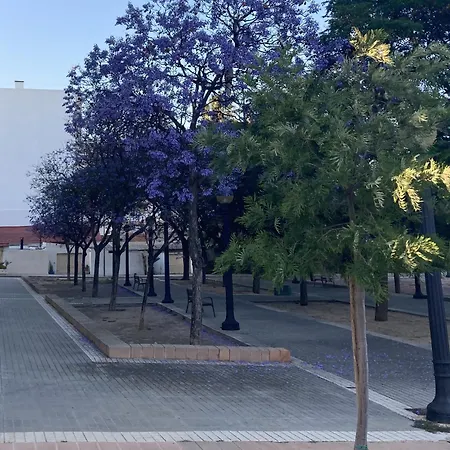 Acogedor Estudio Apartment